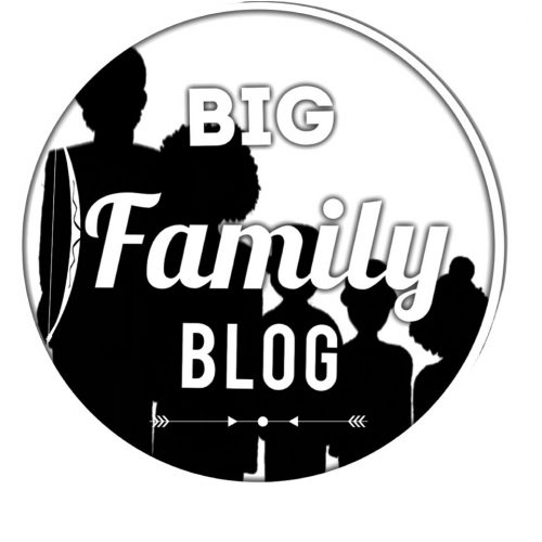Big Family Blog